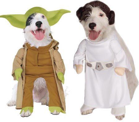 princess lia and yoda dogs dressed up